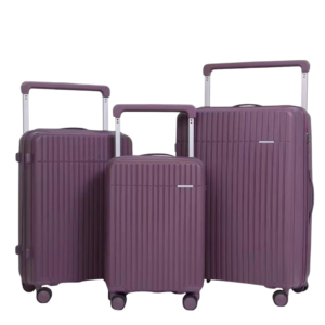 PP WIDE HANDLE UNBREAKABLE LUGGAGEE - 2026